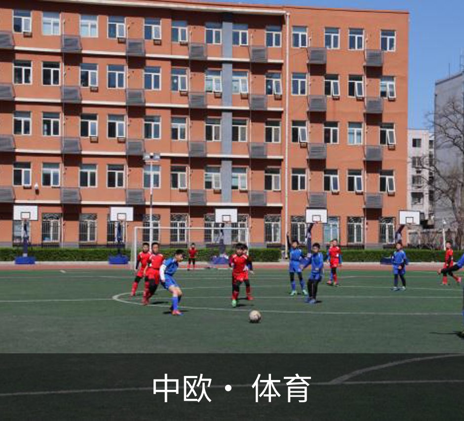 中欧· 体育概况
